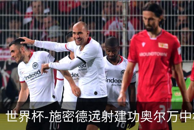 世界杯-施密德远射建功奥尔万中框 半场奥地利1-0约旦